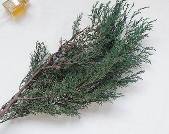 Dried Pine Branches, Christmas Greenery, Winter Christmas Decorations, Dried Green Flowers, Home And Wedding Flower Arrangements
