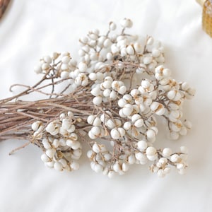 Dried Tallow Berries Bundle Dried Nature White Berries Bouquet Floral Supplies