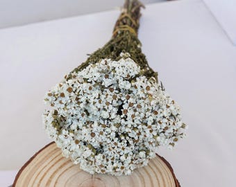 Dried flowers, wedding dried flower decoration,White Daisy, DIY dried flower arrangement