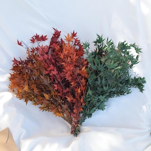 Geconserveerde esdoornbladeren, rode en oranje esdoornbladeren, herfst/winter gedroogde bloemen voor huisdecoratie, bruiloft bloemstuk, gedroogde bloem