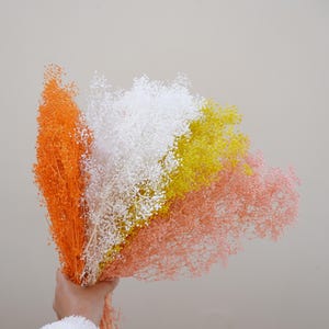 White baby&#39;s breath, preserved baby&#39;s breath, baby&#39;s breath wedding decoration, dried flower Gypsophila