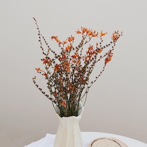 Orange dried flowers, natural dried flower , holiday party decoration dried flowers, vase flower arrangement, home wedding dried flowers