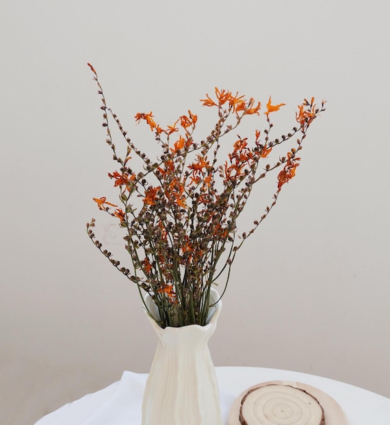 Orange Trockenblumen, natürliche Trockenblumen, Urlaub Partydekoration Trockenblumen, Vase Blumenarrangement, Haus Hochzeit Trockenblumen