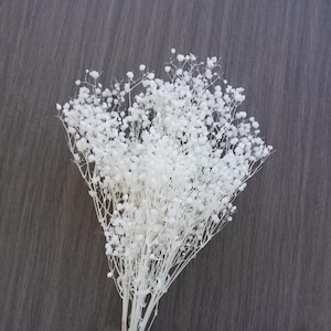 White baby&#39;s breath, preserved baby&#39;s breath, baby&#39;s breath wedding decoration, dried flower Gypsophila