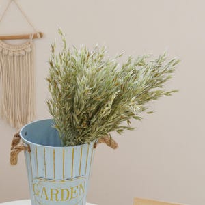 May include: A bouquet of dried oat grass in a blue and gold metal vase with the word "GARDEN" printed on the side.