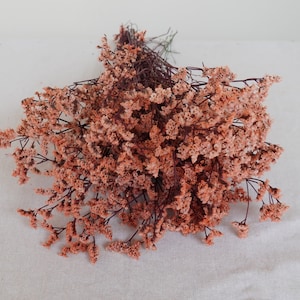 May include: A bunch of dried baby's breath flowers in a light peach color.