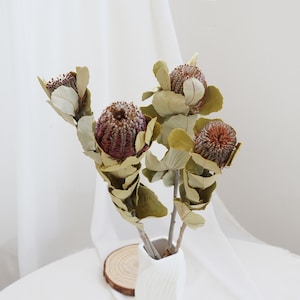 Natural Protea Flower，Dried Banksia stems,Dried flower decoration, wedding dried flower arrangement