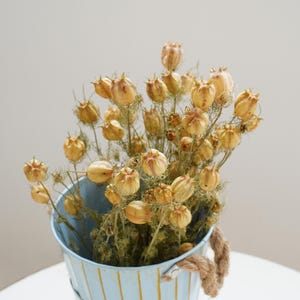 Gousses de nigelle séchées, bouquet de nigelle séchée, nigelle de fleurs séchées, composition florale de mariage à la maison, composition de fleurs séchées