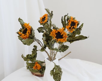 Peut inclure: Un bouquet de tournesols séchés dans un vase blanc. Les tournesols ont des pétales jaunes et des centres brun foncé. Les feuilles sont vertes et brunes.