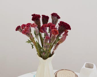 May include: A bouquet of dried burgundy and deep red celosia flowers with textured, crested heads and green stems arranged in a tall, off-white ceramic vase with a fluted design, accompanied by two round wooden coasters and a white vase.