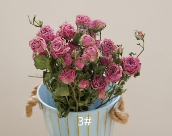 Natural Rose Dried Flower, Wedding Floral Rose, Dried Rose Decoration