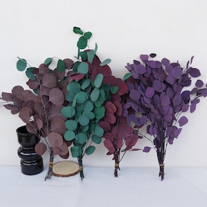 Preserved Silver Dollar Eucalyptus , Green Eucalyptus , Preserved Dried Flowers, Wedding DIY，Home Flower Arrangement