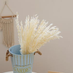 May include: A bouquet of dried white pampas grass in a blue and gold metal vase with the word "GARDEN" on the front.