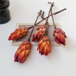 Natural Protea Flower，Dried Protea stems,Dried flower decoration, wedding dried flower arrangement