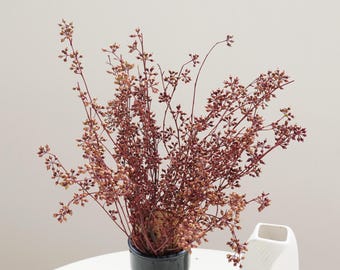Preserved red and green eucalyptus fruits, a bouquet of dried flowers, Christmas decoration, DIY dried flower arrangement