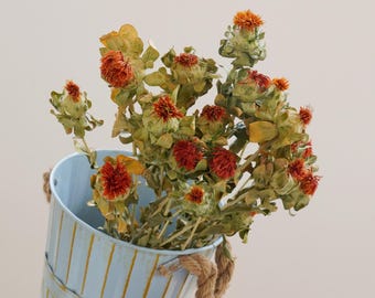 Fleurs séchées naturelles, fleurs séchées orange, décorations de mariage, compositions florales pour la maison, matériaux pour fleurs séchées, garnitures de bouquet