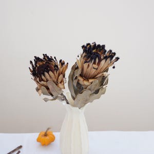 Natural Protea Flower，Dried Banksia stems,Dried flower decoration, wedding dried flower arrangement