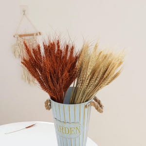 Dried wheat, wheat, burnt orange+white+primary color wheat, table decoration, wedding floral arrangement