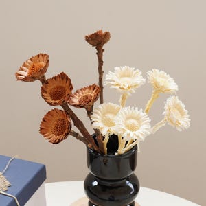 Natural Protea Flower，Preserved Protea Flowers，Dried protea flower,Dried flower decoration, wedding dried flower arrangement