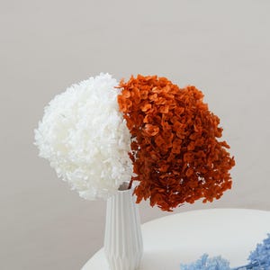 Dried Hydrangea ，Hydrangea Flower，Burnt orange Preserved Hydrangeas，Hydrangea Decoration, Wedding DIY Floral Arrangement