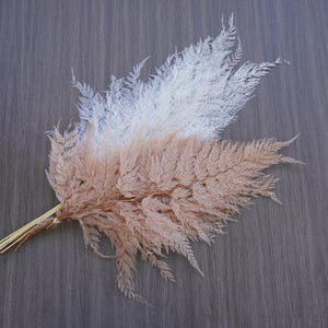 Preserved Fern，Wedding Ferns，Bleach Fern，White+coffee color Fern leaf，DIY Flowers，Wedding dried flowers