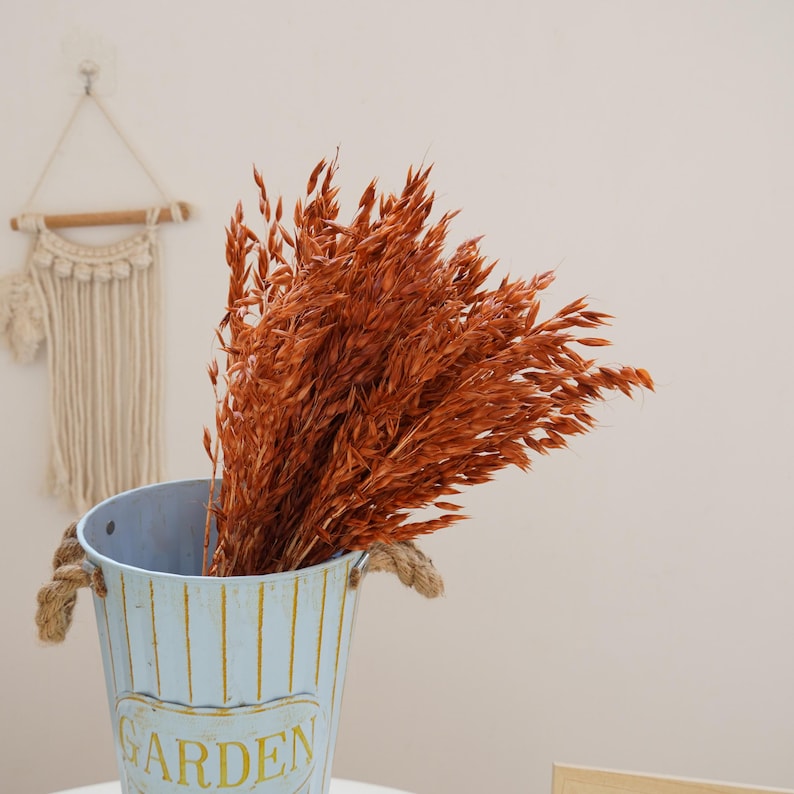 May include: Dried oat grass in a blue and white striped metal container with the word "GARDEN" printed on the front.