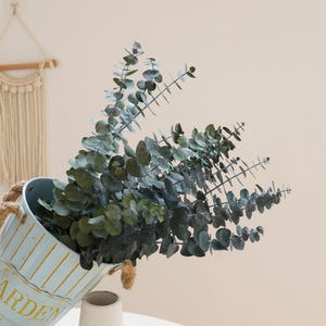 Preserved Eucalyptus , Green+Blue Preserved Eucalyptus , Wedding Table Center Decoration, Home Flower Arrangement