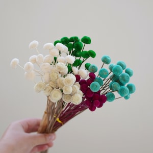 May include: A bouquet of dried billy balls in white, green, teal, and magenta.