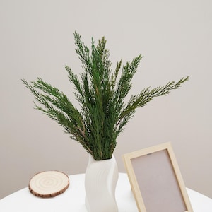 May include: A white ceramic vase with a wavy design holds a bunch of green leafy sprigs. The vase is sitting on a white table next to a wooden coaster and a wooden picture frame.