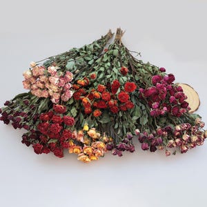 Op de afbeelding: Bossen gedroogde rozen in verschillende kleuren, waaronder rood, roze en geel. De rozen zijn samengebonden met touw en de stelen hebben groene bladeren. De opstelling staat tegen een witte achtergrond.