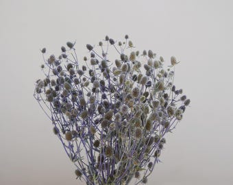 Natural Dried Thistle，Natural Sea Holly，Dried flower arrangement design, vase arrangement, wedding home arrangement