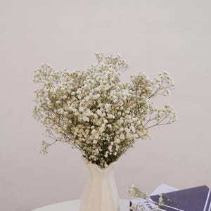 Preserved Baby&#39;s Breath, Dried Flower Baby&#39;s Breath, White+Caramel Baby&#39;s Breath, Dried Gypsophilia