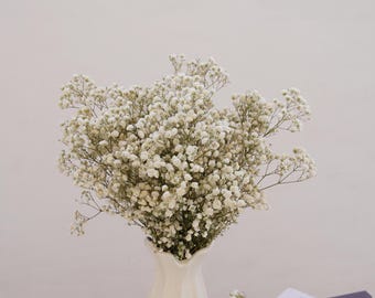 Preserved Baby's Breath, Dried Gypsophilia Bouquet (16-18 inches)