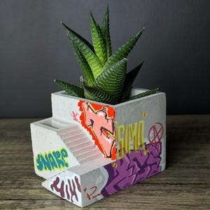 May include: A concrete planter with a succulent plant. The planter is decorated with graffiti art in pink, orange, purple, and green. The planter features a small set of steps and the word "SNARP" in green.