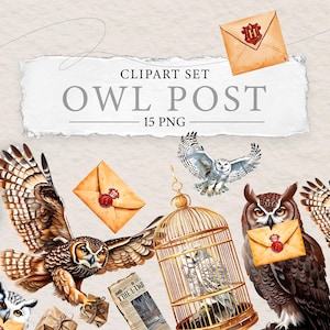 Magical Owl Post Clipart: Watercolor Wizard School Letters (Digital Download, 15 PNG)