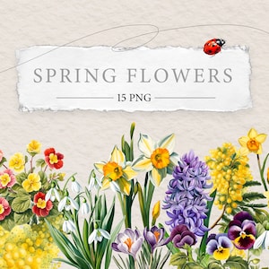 Clipart di fiori primaverili / Design di illustrazione botanica / 15 PNG acquerello / Elementi adesivi di primi fiori / Arte regalo floreale per la festa della mamma