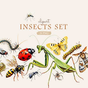 Watercolor Insects Clipart: Realistic Bug Illustrations (PNG Digital Download)