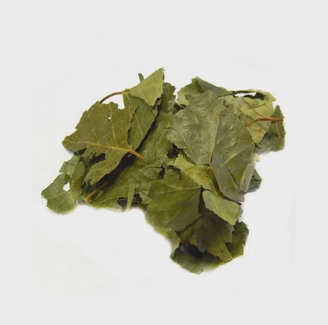 Birch Leaf | Common Birch Leaf | Birch Leaves | Herbal Tea | Natural ...