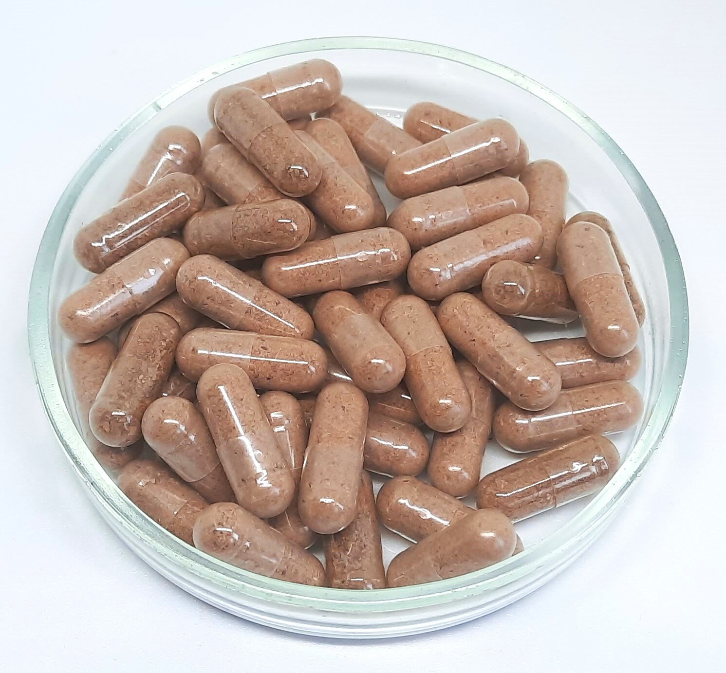 thumbnail image 2 of GANESHA HERBS Organic Agarikon Mushroom Extract Powder - 100g, Immune Support, Natural Supplement 2 of 2