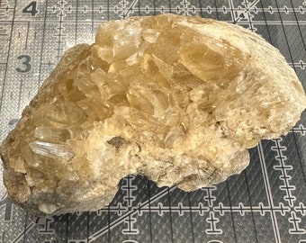 Palourde fossilisée avec calcite