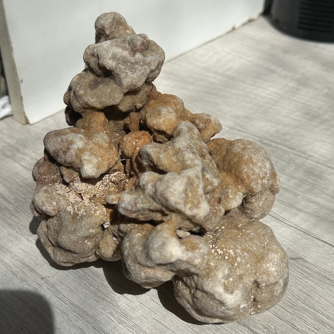 Morphing Rocks Pseudomorph Sandstone/calcite Rock Concretion Formation florida - Etsy