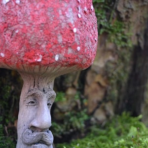 Handmade Ceramic Mushroom Gnome Whimsical Home & Garden Decor, Fairycore Gift for Nature Lovers  Miniature Collectible Ceramic Red mushroom