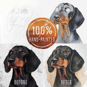 May include: Before and after watercolor painting of a black and brown dachshund dog. The painting is 100% hand-painted.