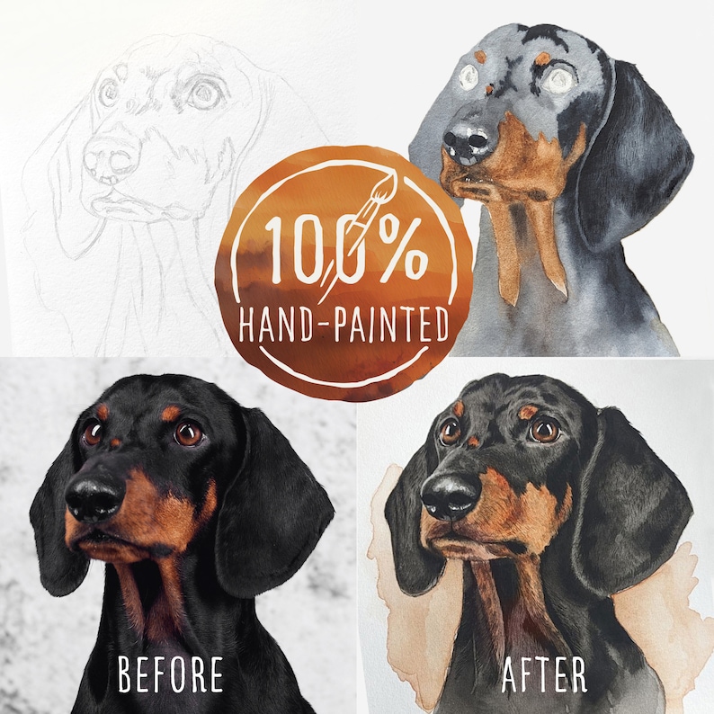 May include: Before and after watercolor painting of a black and brown dachshund dog. The painting is 100% hand-painted.