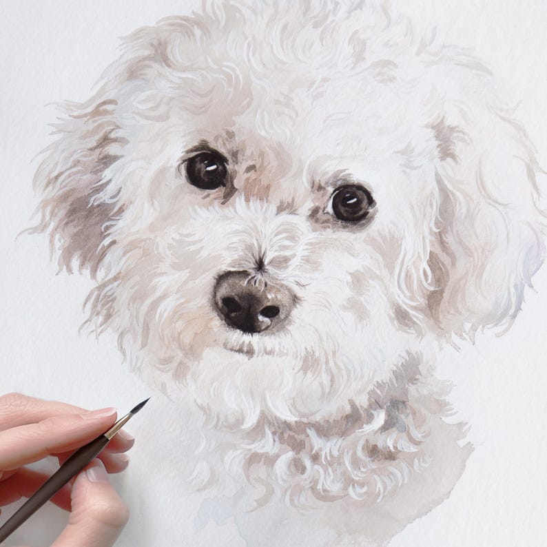 May include: Watercolor painting of a white Bichon Frise dog with dark eyes and a black nose. The dog's fur is fluffy and textured, with soft brown shading. A hand holding a paintbrush is visible in the lower left corner.