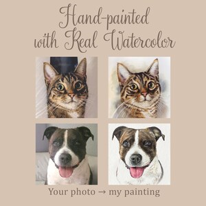Custom pet portrait from photo, Original hand painted Watercolor, Gift for a pet owner, Dog Cat commission painting image 13