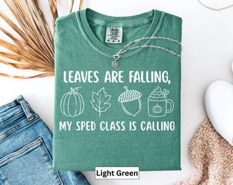SPED Teacher Fall t-Shirt, Special Education Teacher Team Shirt, Special Needs Teacher t-Shirt, Specia Edu Gift, Back to School Fall Shirt