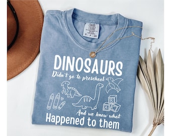 Preschool Teacher Dinosaur t-Shirt, Daycare Provider t-Shirt, Gift for Preschool Teacher, Chaos Coordinator, Back to School Pre-K t-Shirt