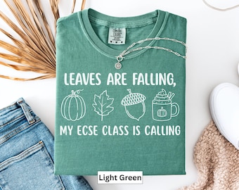 ECSE Teacher Fall t-Shirt, Preschool ECSE Shirt, Fall Teacher Special Needs tShirt, Early Childhood Special Education, Gift for ECSE Teacher