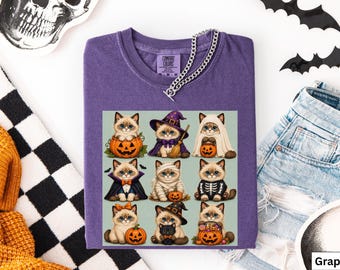Ragdoll Cat Halloween Vintage t-Shirt, Ragdoll Cat Gifts, Ragdoll Cat Mom t-shirt, Halloween Ragdoll Fall t-shirt, Spooky Season Cat Shirt
